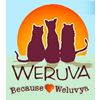 weruva2.jpg