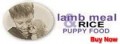 1TNlambricepuppy.jpg