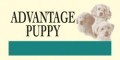 AdvPup.jpg